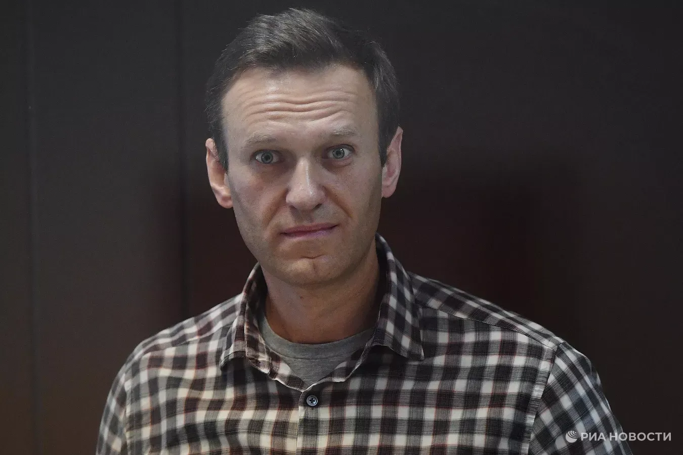 Правозащитники призвали ООН провести международное расследование гибели Алексея Навального