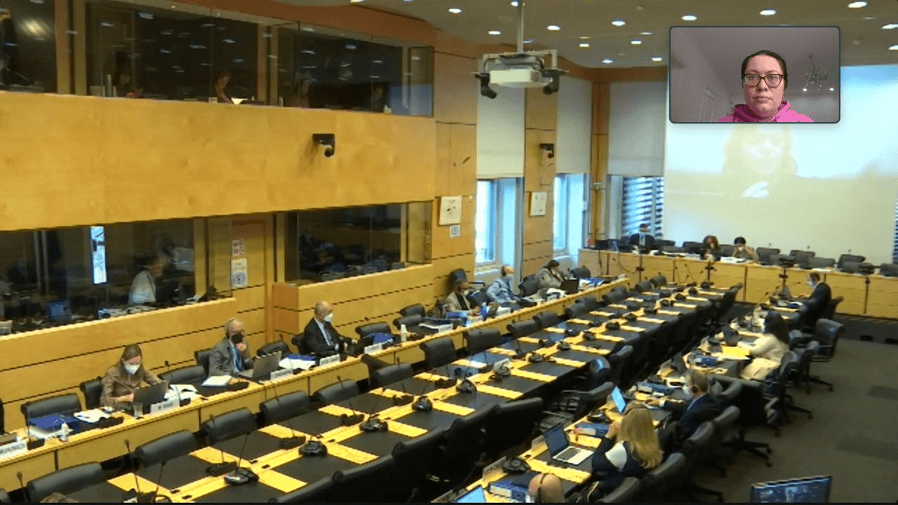 О политических преследованиях в России. Выступление юристки в ООН